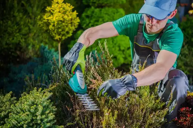landscaping services Fort Covington Hamlet
